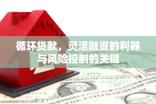 宜良循环贷款，灵活融资的利器与风险控制的关键