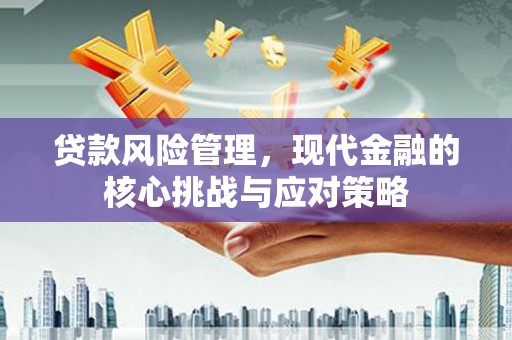 宜良贷款风险管理，现代金融的核心挑战与应对策略