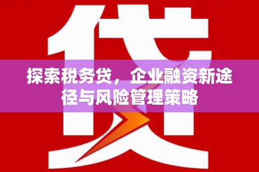 宜良探索税务贷，企业融资新途径与风险管理策略
