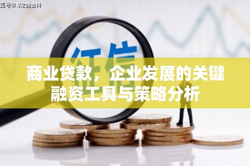宜良商业贷款，企业发展的关键融资工具与策略分析