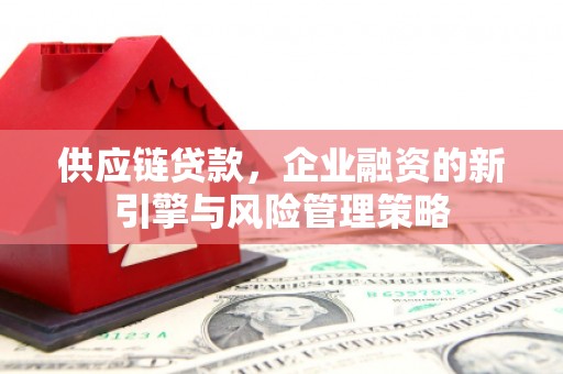 宜良供应链贷款，企业融资的新引擎与风险管理策略