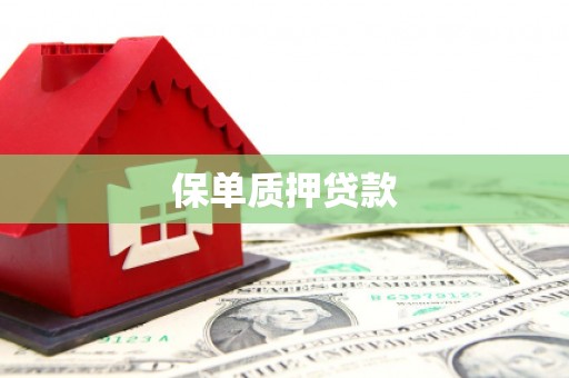 宜良保单质押贷款