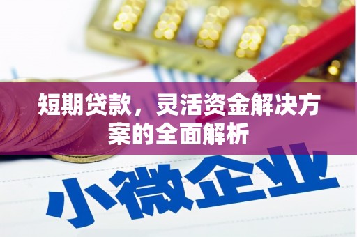 宜良短期贷款，灵活资金解决方案的全面解析