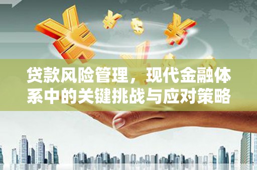 宜良贷款风险管理，现代金融体系中的关键挑战与应对策略