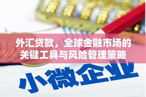 宜良外汇贷款，全球金融市场的关键工具与风险管理策略