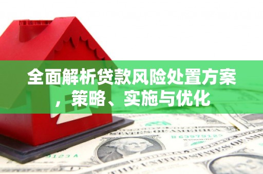 宜良全面解析贷款风险处置方案，策略、实施与优化