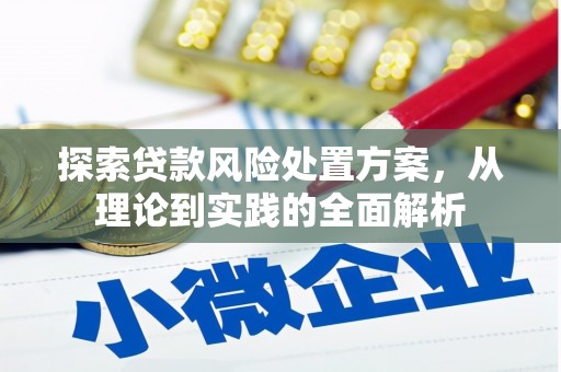 宜良探索贷款风险处置方案，从理论到实践的全面解析