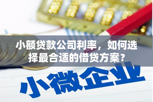 宜良小额贷款公司利率，如何选择最合适的借贷方案？