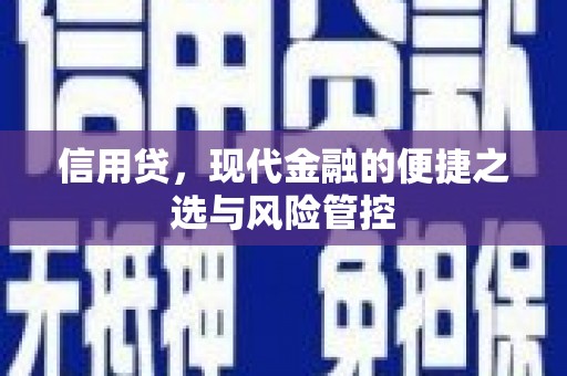 宜良信用贷，现代金融的便捷之选与风险管控