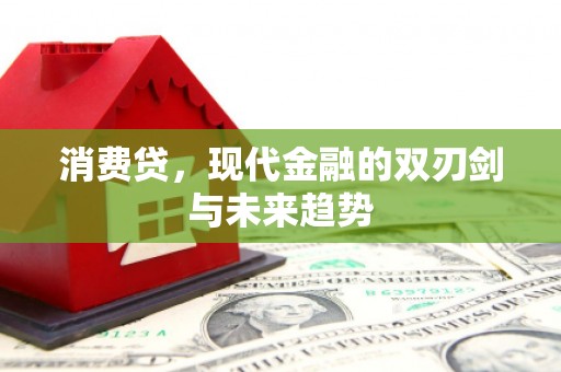 宜良消费贷，现代金融的双刃剑与未来趋势