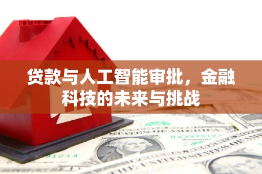 宜良贷款与人工智能审批，金融科技的未来与挑战