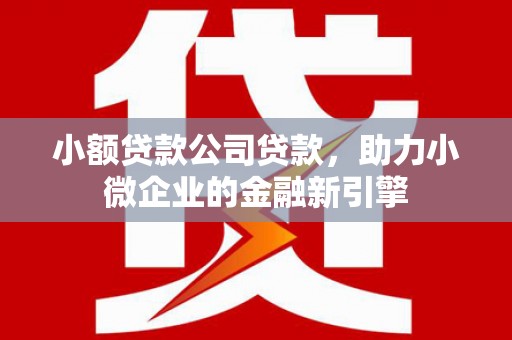宜良小额贷款公司贷款，助力小微企业的金融新引擎