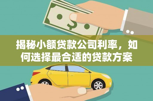 宜良揭秘小额贷款公司利率，如何选择最合适的贷款方案