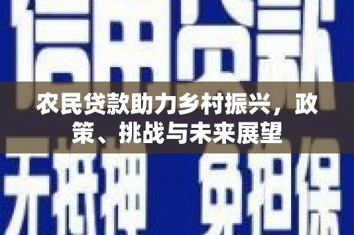 宜良农民贷款助力乡村振兴，政策、挑战与未来展望