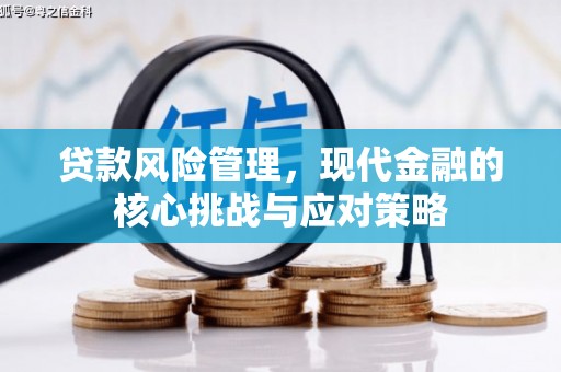 宜良贷款风险管理，现代金融的核心挑战与应对策略