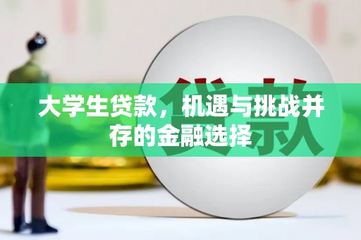 宜良大学生贷款，机遇与挑战并存的金融选择