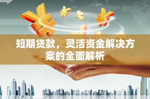 宜良短期贷款，灵活资金解决方案的全面解析