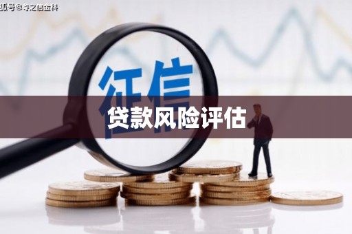 宜良贷款风险评估