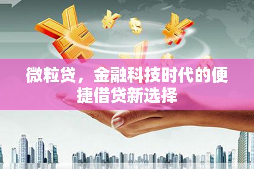 宜良微粒贷，金融科技时代的便捷借贷新选择