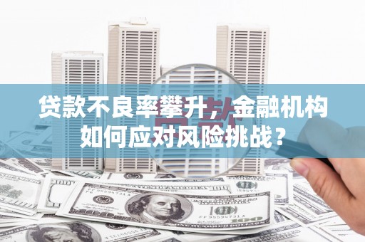 宜良贷款不良率攀升，金融机构如何应对风险挑战？