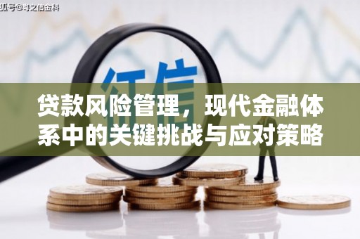 宜良贷款风险管理，现代金融体系中的关键挑战与应对策略