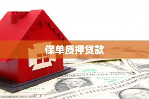 宜良保单质押贷款