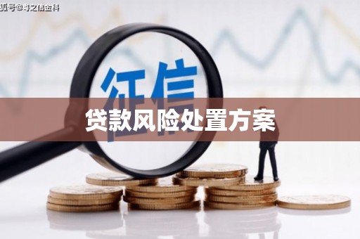 宜良贷款风险处置方案