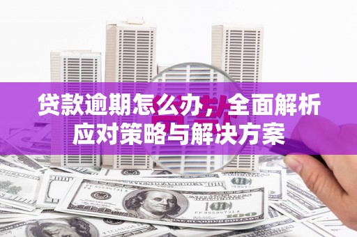 宜良贷款逾期怎么办，全面解析应对策略与解决方案
