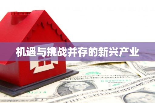 宜良机遇与挑战并存的新兴产业