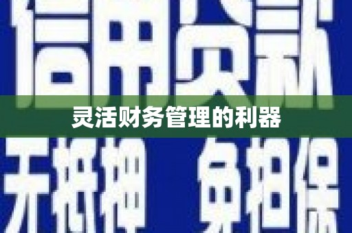 宜良灵活财务管理的利器
