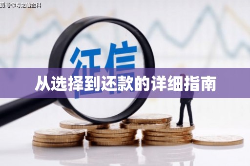 宜良从选择到还款的详细指南