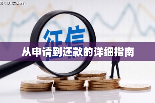 宜良从申请到还款的详细指南