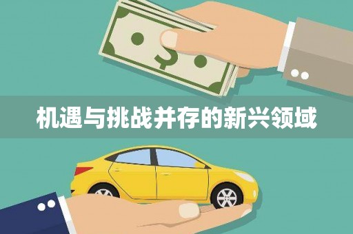 宜良机遇与挑战并存的新兴领域