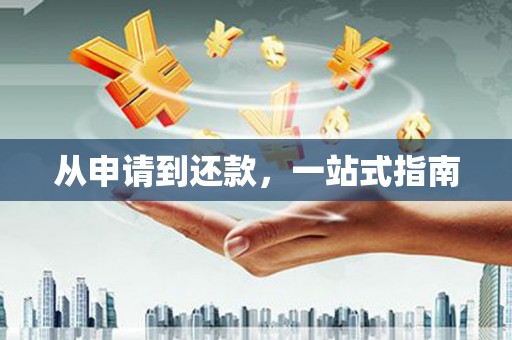 宜良从申请到还款，一站式指南
