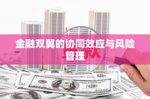 宜良金融双翼的协同效应与风险管理